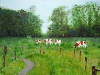 Koeien in Twente